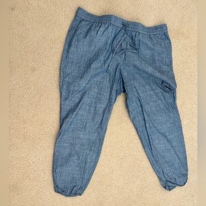 J. Crew Light Blue Elastic Waist Pants